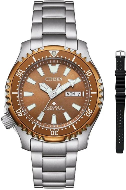 Citizen NY0164-65XE Saat